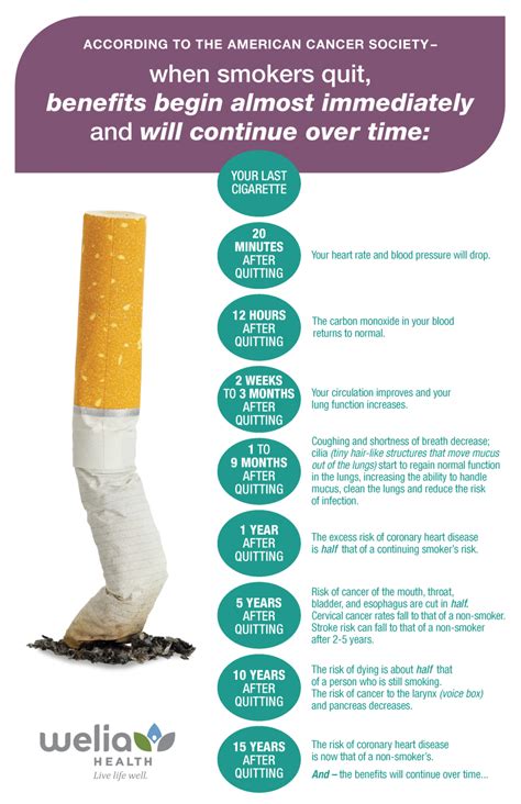 stop smoking momobird|10 Things That Happen When You Quit Smoking .